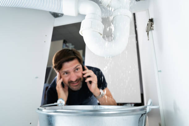 Best Affordable Plumbing Services  in Moville, IA