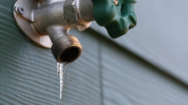 Best Faucet Repair  in Moville, IA