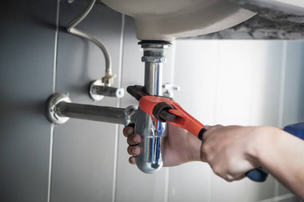 Best Local Plumber Services  in Moville, IA