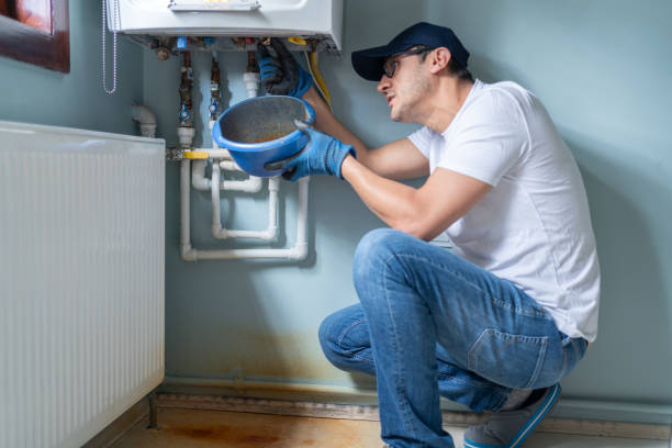 Best Septic Systems  in Moville, IA
